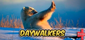 S11 EP 406 Daywalkers