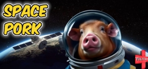 S15 EP 598 Space Pork