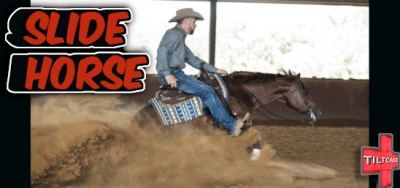 S13 EP 495 Slide Horse