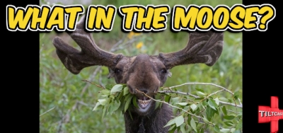 S14 EP 534 What in the Moose?