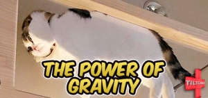 S10 EP 404 The Power of Gravity
