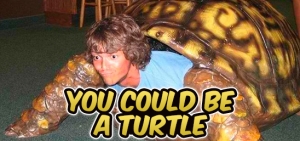 S10 367 You Could Be A Turtle